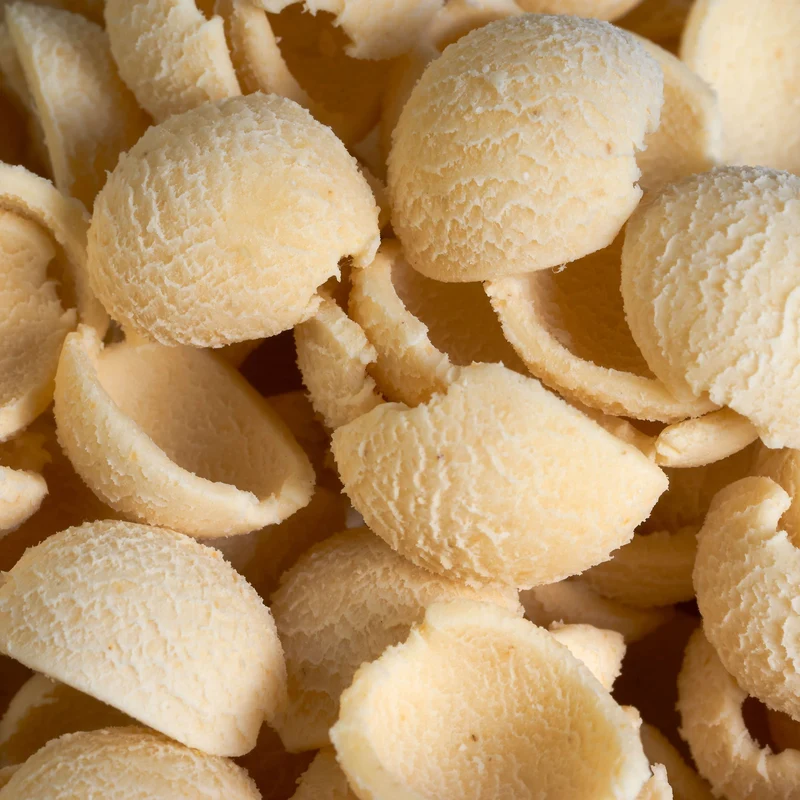 Orecchiette Trafila in Bronzo per Pastaio