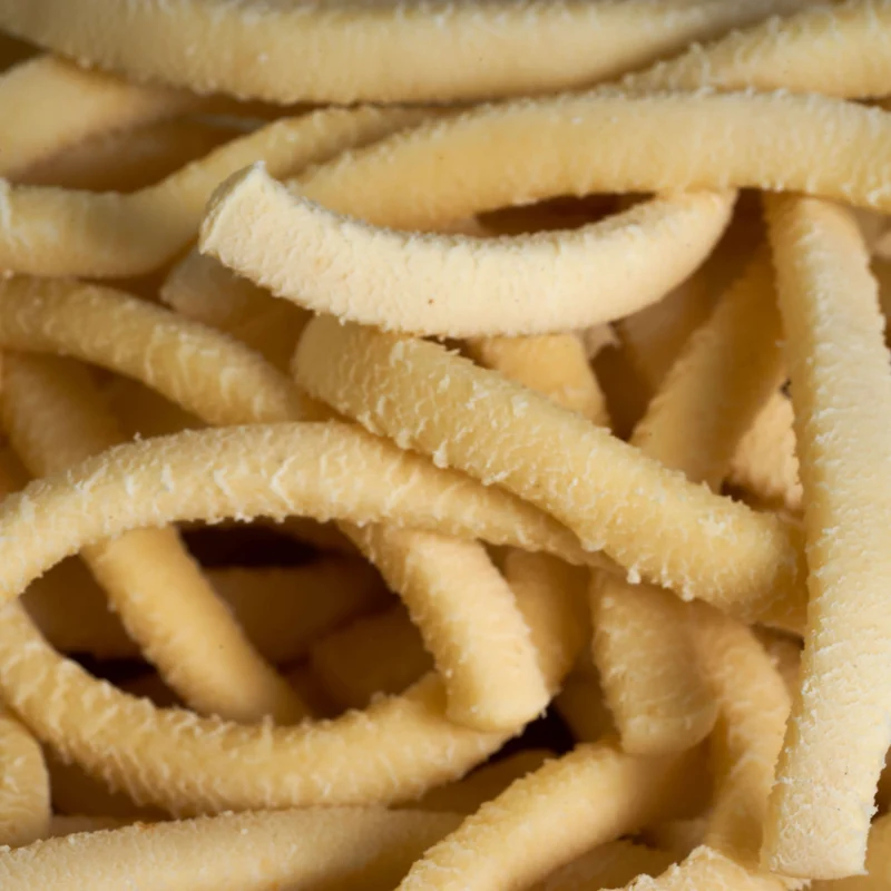 Scialatielli Trafila in Bronzo per Pastaio