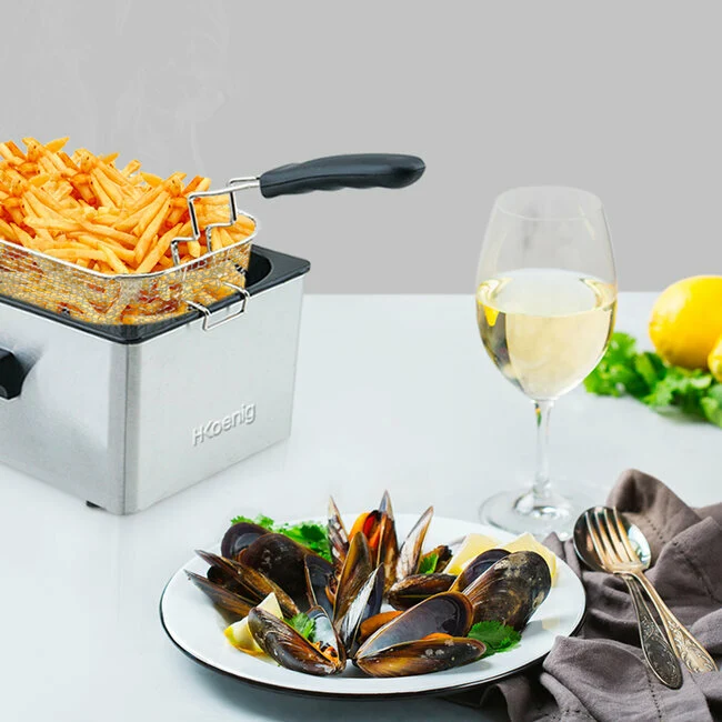 Ⓜ️🔵🔵🔵 H.Koenig DFX300 - Friggitrice professionale in acciaio inox, 3 litri