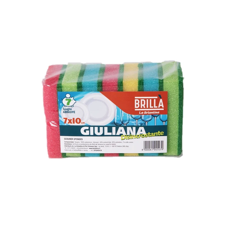 Gran risparmio Spugne abrasive Giuliana