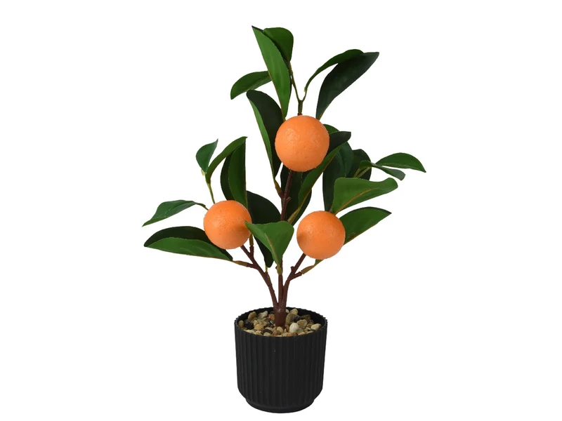 Piantina di arance in vasetto nero di plastica diametro 17cm x altezza 27cm