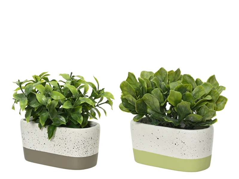 Piantina artificiale sempreverde in vaso ceramica moderna, realistica con fogliame opaco e lucido - 14x16cm - Kaemingk