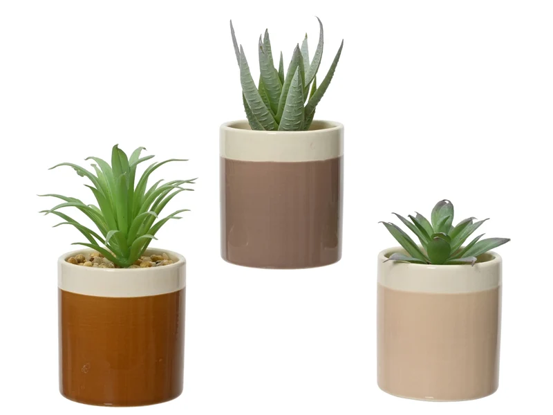 Piantina artificiale grassa in vaso ceramica country, realistica con 3 tipologie - 6x11cm - Kaemingk