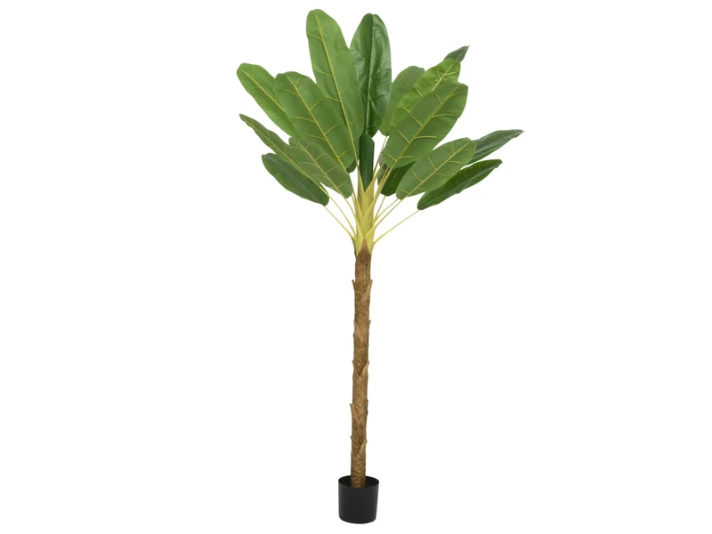 Pianta finta alta banano da interno 230cm realistica in vaso di plastica, stile Jungle - Kaemingk