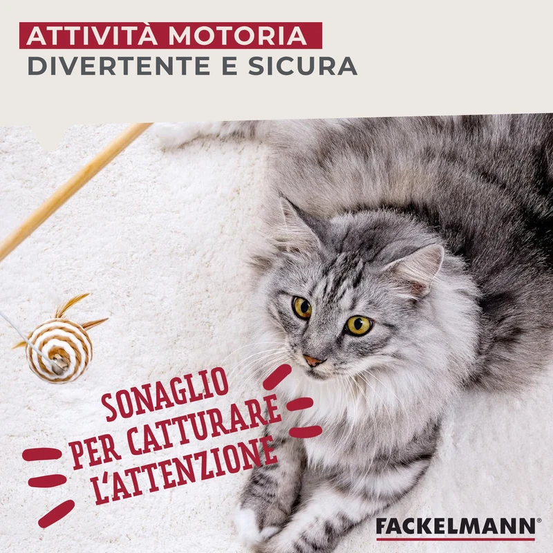 Canna da pesca per gatti