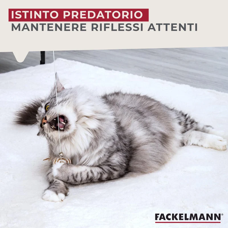 Canna da pesca per gatti