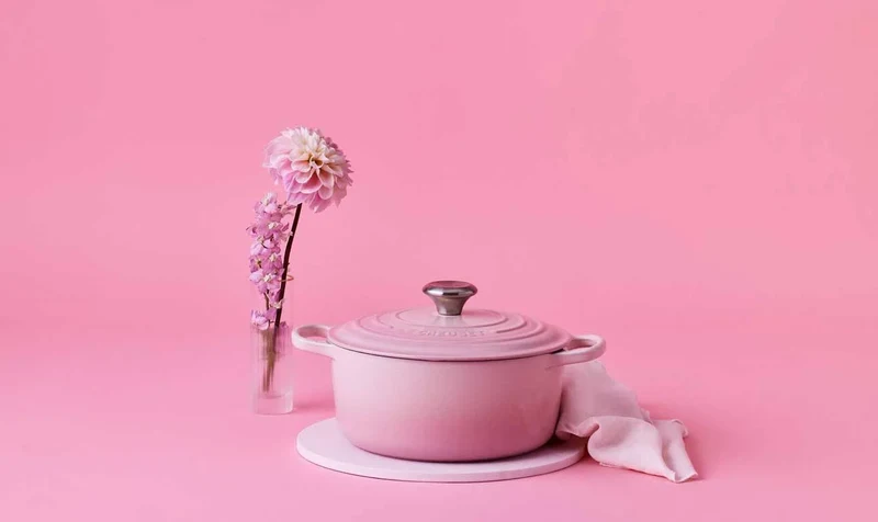 Cocotte rotonda Evolution in ghisa vetrificata 20 cm,color shell pink