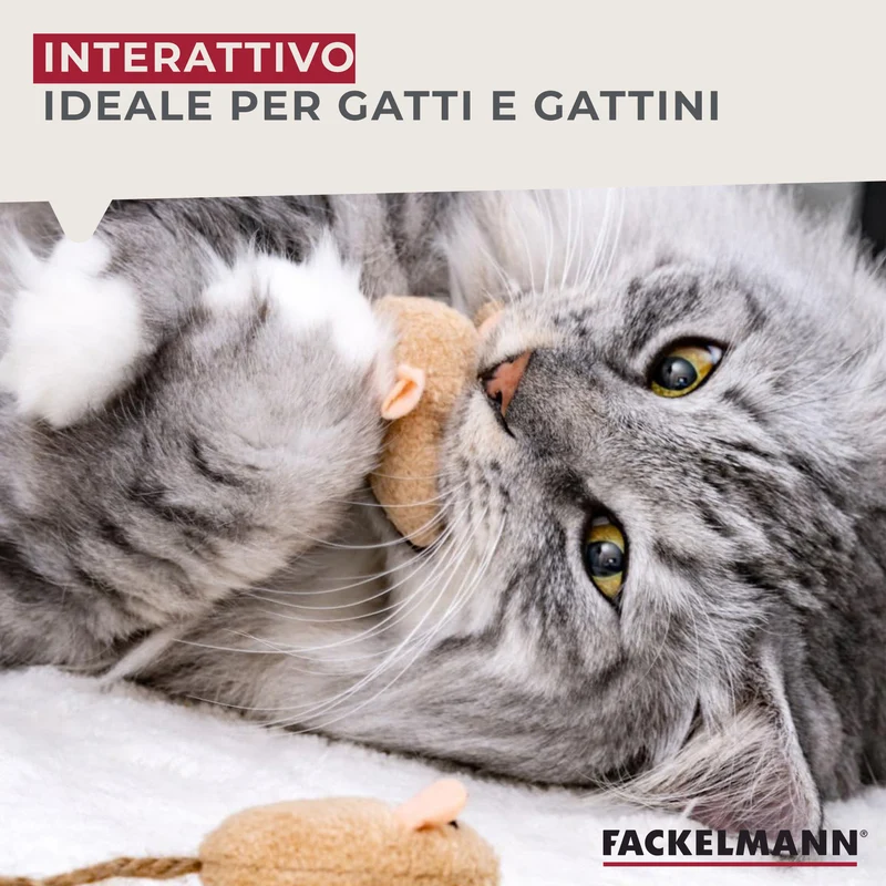 Set giochi per gatti
