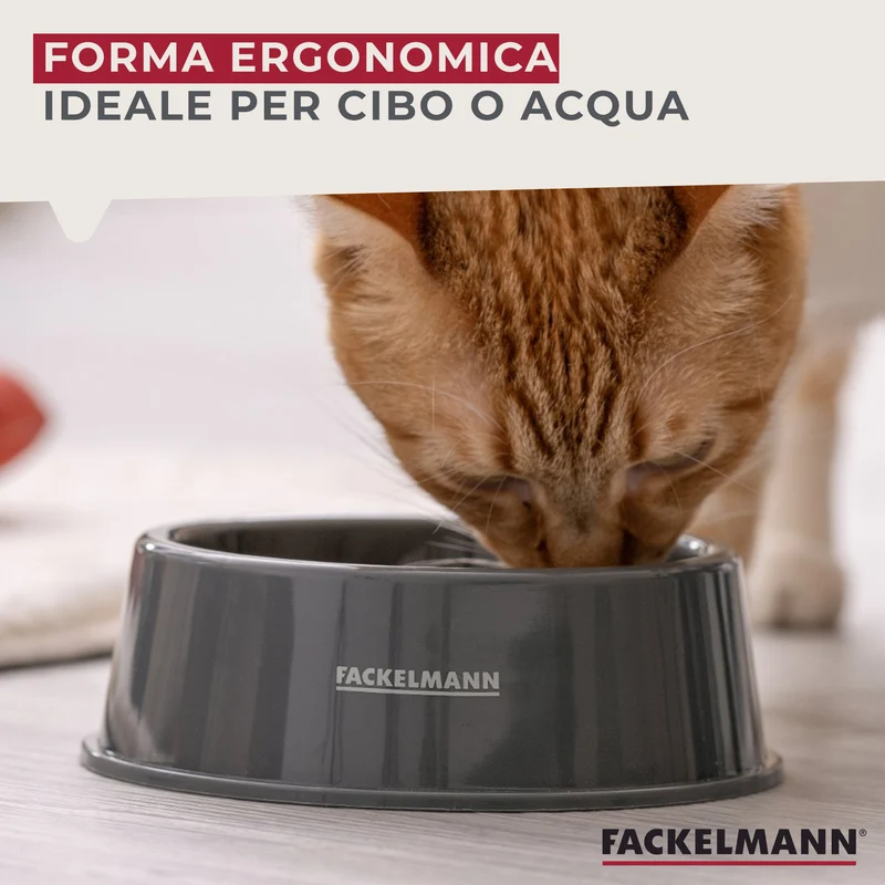 Set da 2 ciotole per cani e gatti