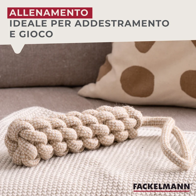 Set gioco per cani, treccia e pallina