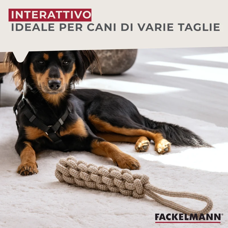 Set gioco per cani, treccia e pallina