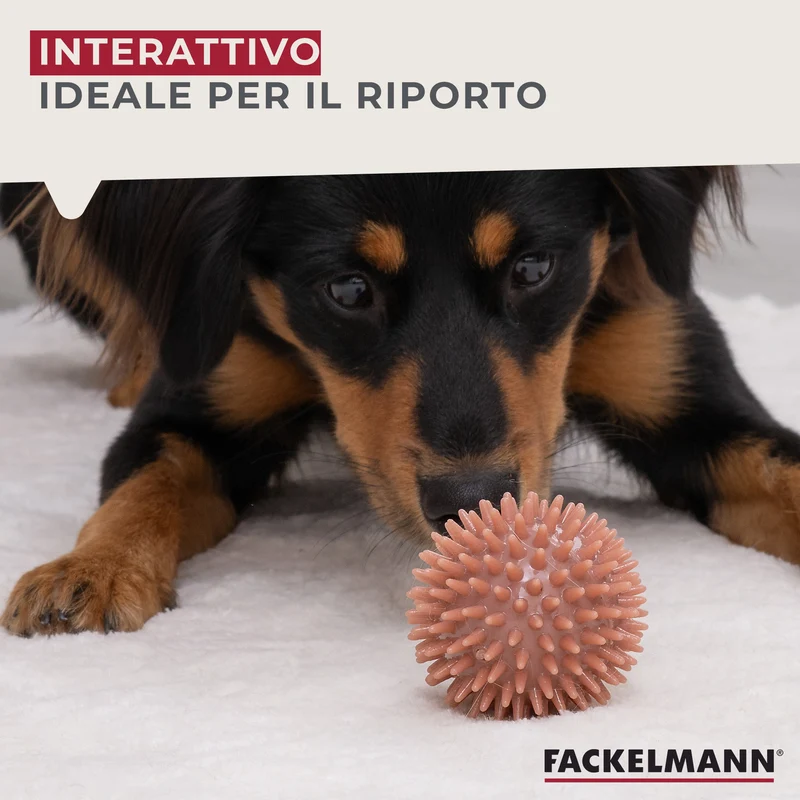 Pallina gioco per cani