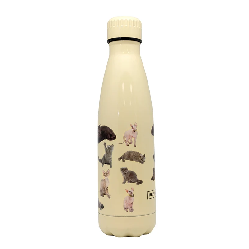 Botella Térmica Clásica de Acero Inoxidable – Doble Pared
