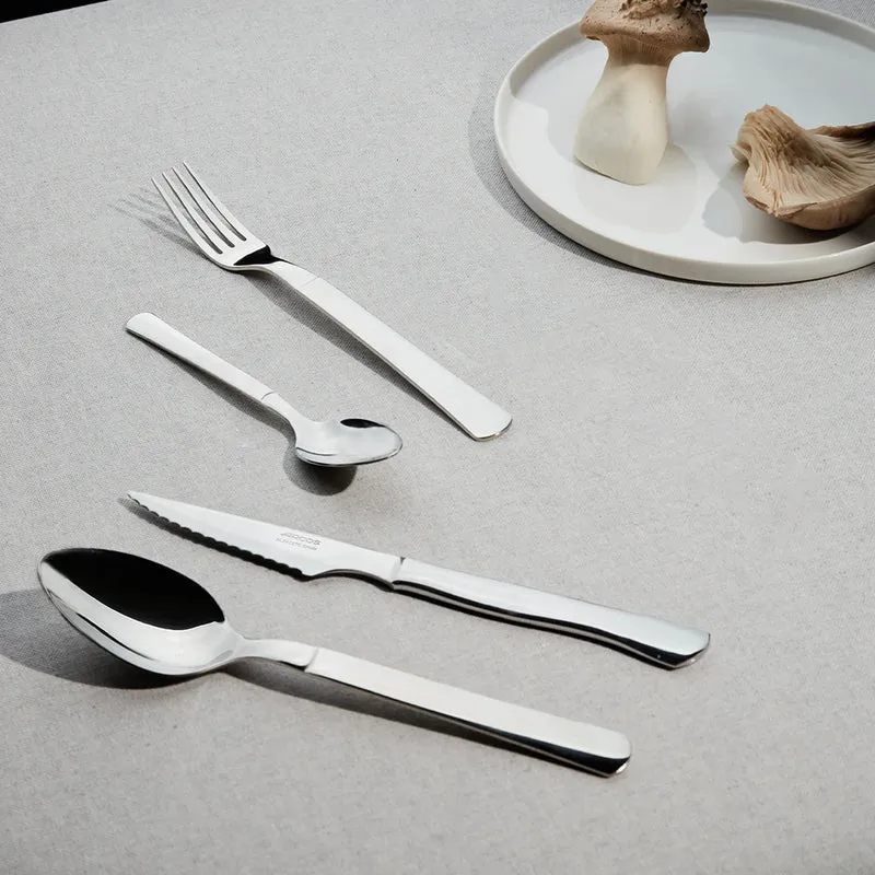 Set 6 pzas Cuchillos Chuleteros Monoblock Filo Sierra