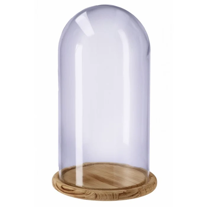 Campana decorativa in vetro con base in legno