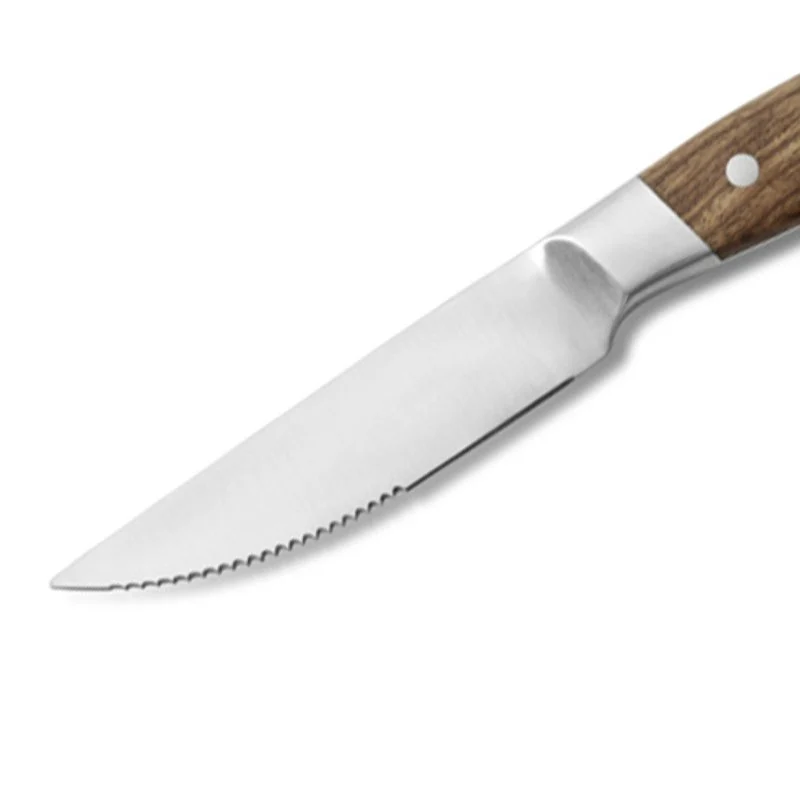 Aconcagua Coltello Bistecca In Acciaio Inox - Set 6 Pz
