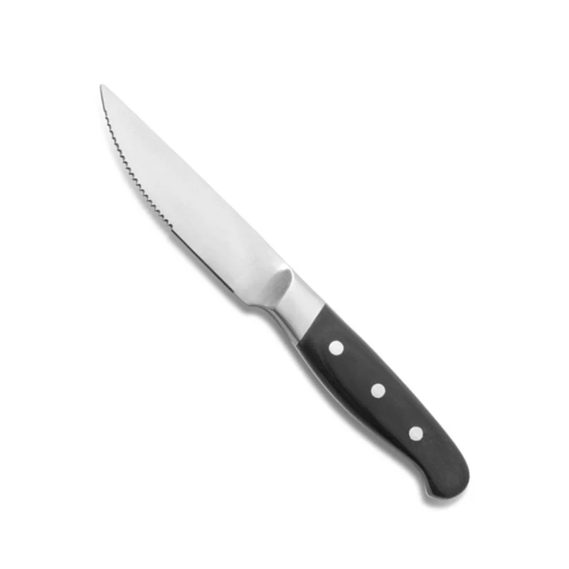 Aconcagua Coltello Bistecca In Acciaio Inox - Set 6 Pz