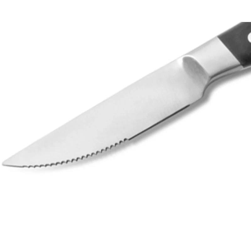 Aconcagua Coltello Bistecca In Acciaio Inox - Set 6 Pz
