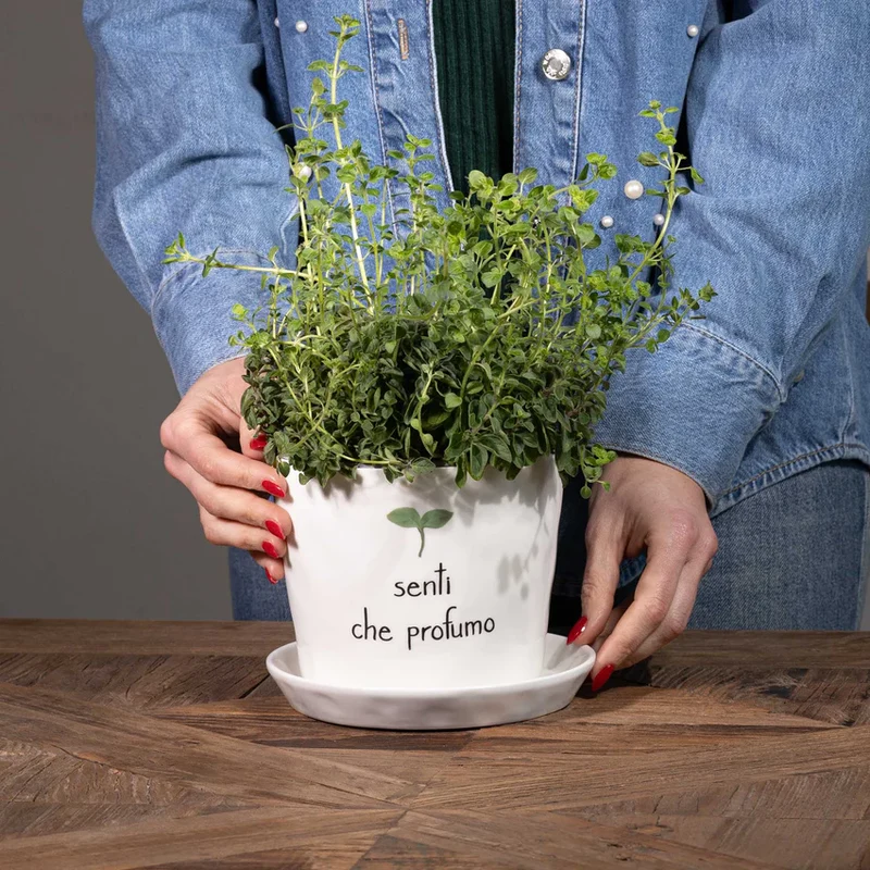 Vaso con sottovaso "Senti che profumo"