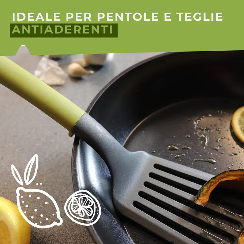 Paletta forata, Linea Oliva