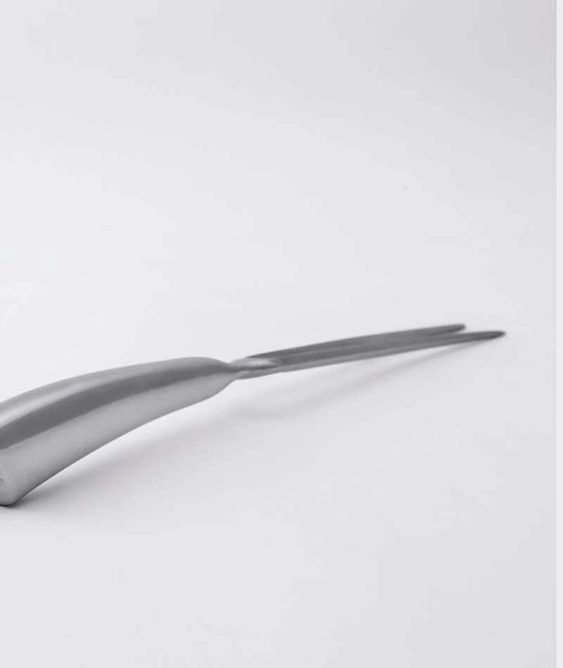 KnIndustrie BE KNife Forchetta Trinciante