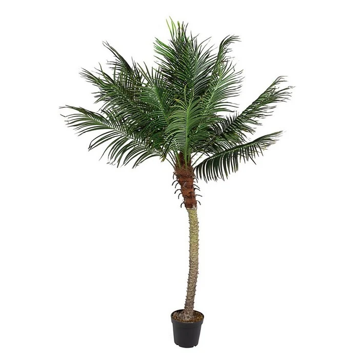 Pianta artificiale con vaso 210 cm - Palma