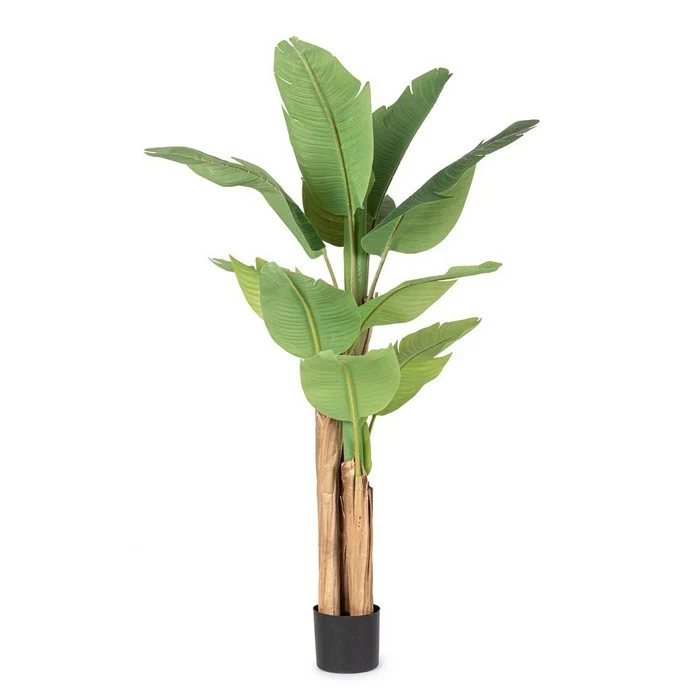 Pianta artificiale di banano con vaso 150 cm