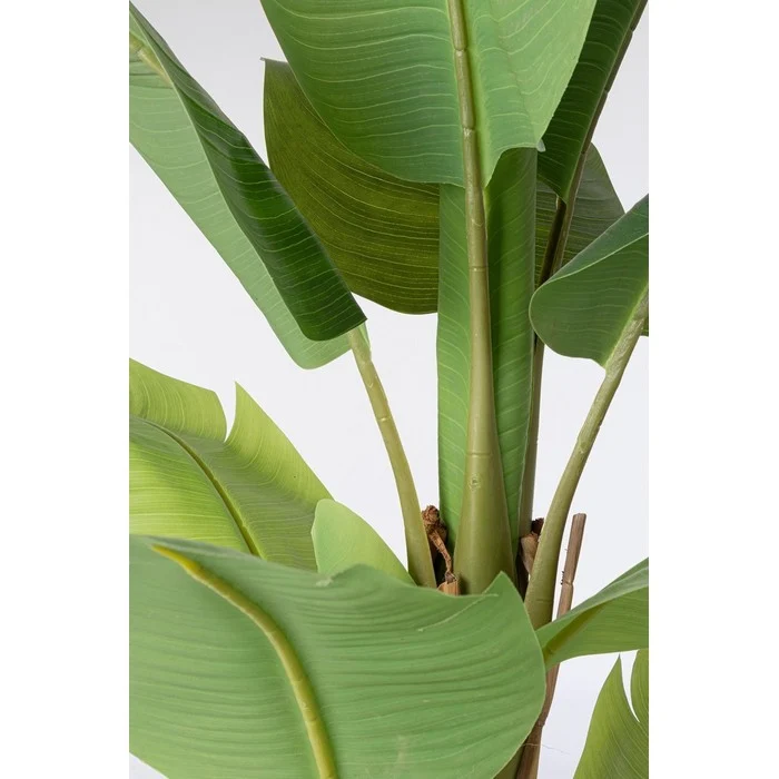 Pianta artificiale di banano con vaso 150 cm