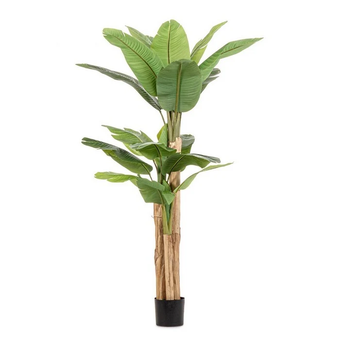 Pianta artificiale di banano con vaso 200 cm
