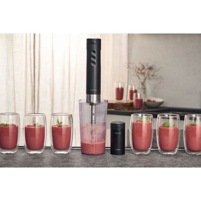ZWILLING XTEND Batteria ricaricabile, 12 V