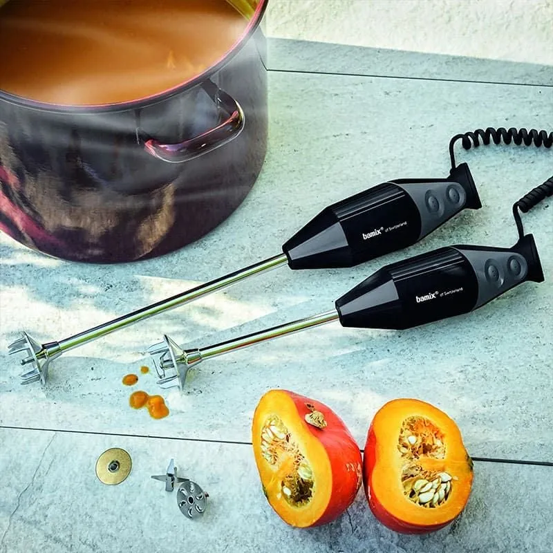 Mixer ad immersione professionale Gastro 350 Nero