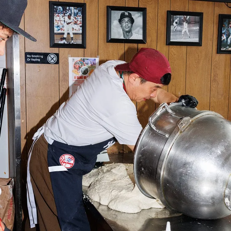 MLB™ New York Yankees™ Essential Apron