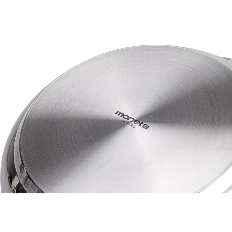 Moneta ACCORDO INOX BOLLILATTE CON BECCUCCIO 14 cm