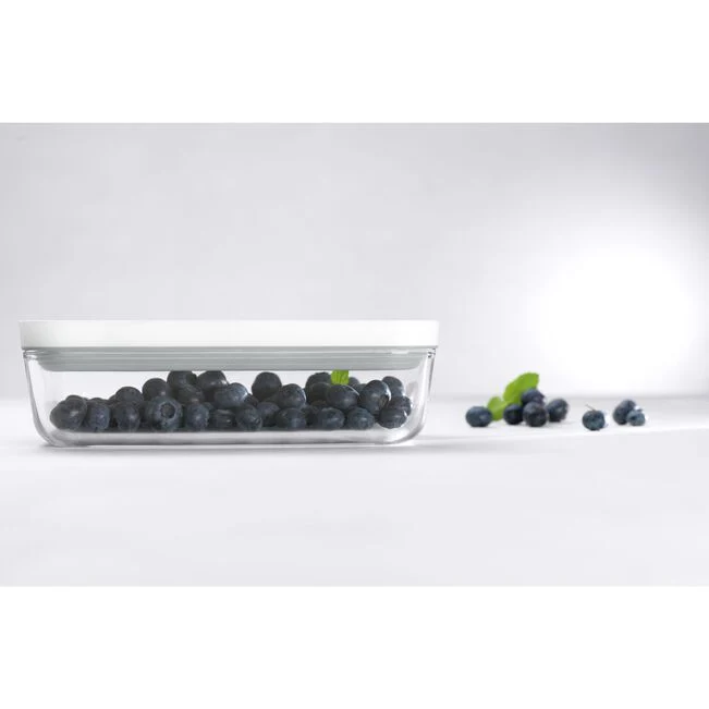 Fresh & Save Contenitore sottovuoto S, vetro, grigio