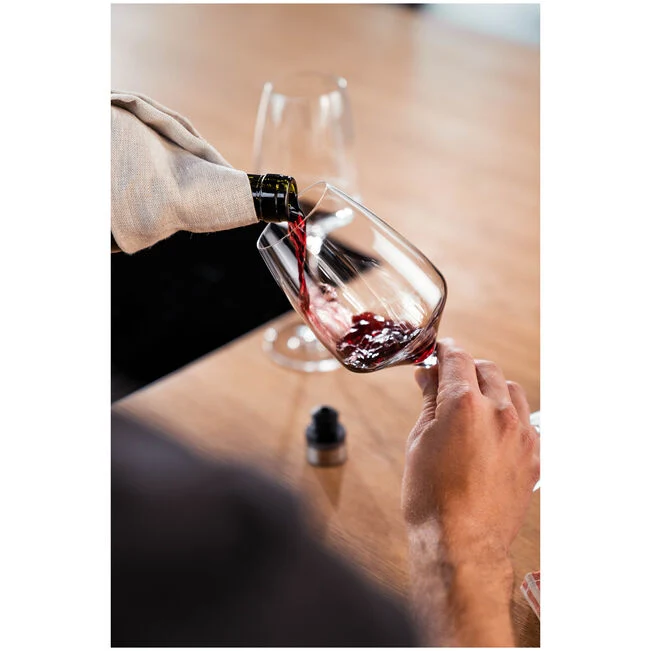 Zwillign - Fresh & Save Tappo da vino sottovuoto, grigio
