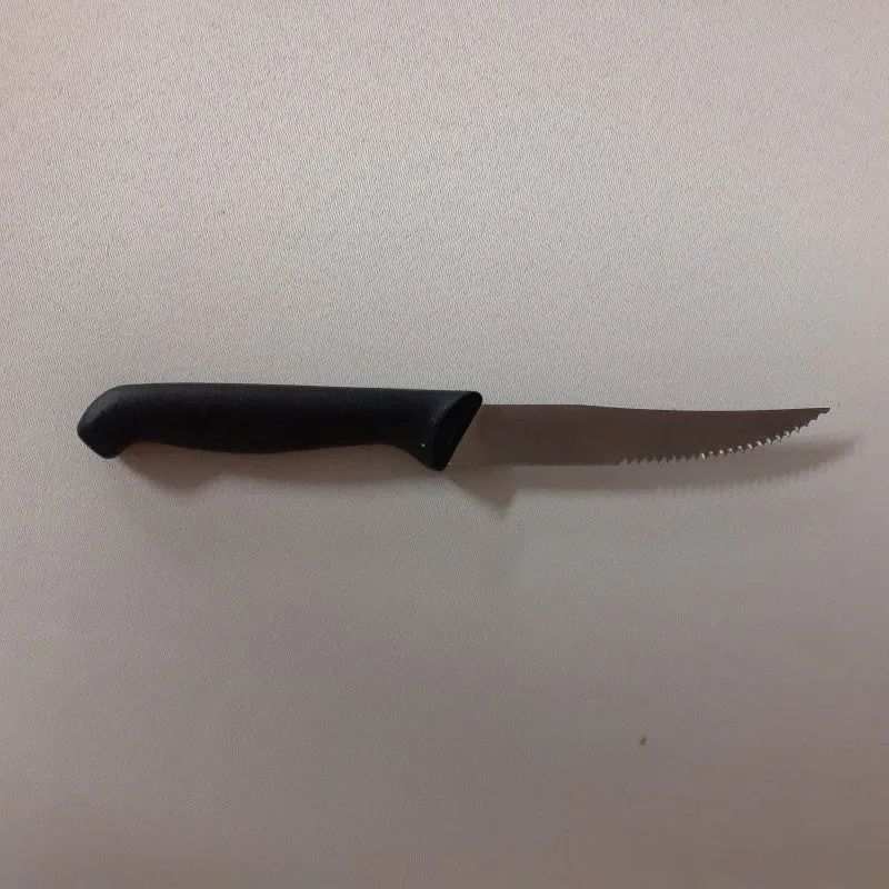 Coltello bistecca manico nylon cm.11 punta acuta