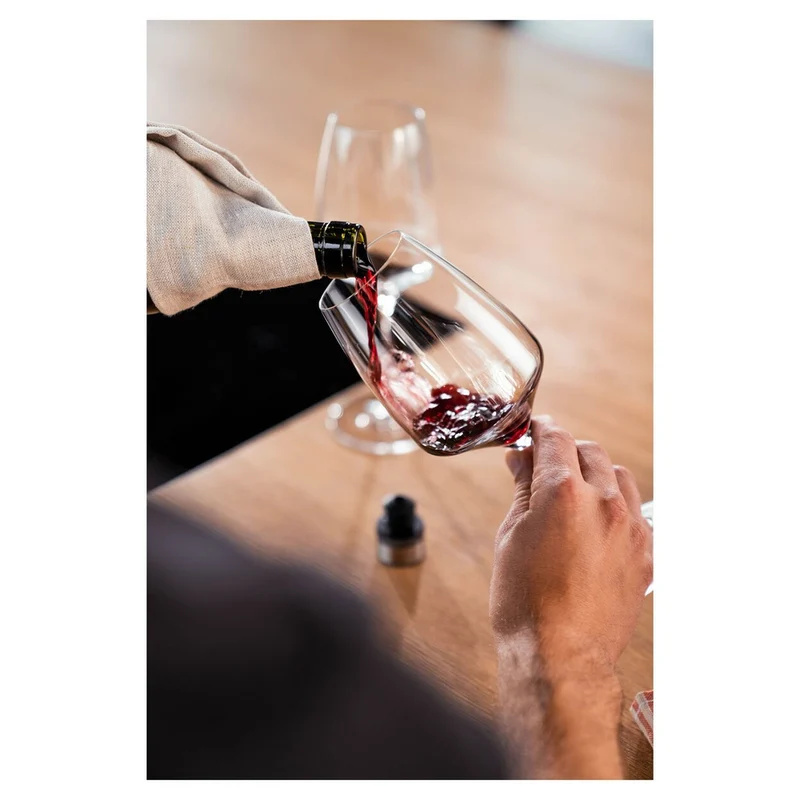 Fresh & Save Tappo Salva Vino In Acciaio Inox