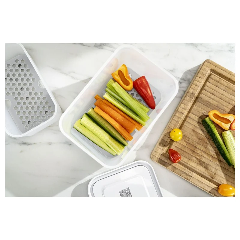 Fresh & Save Griglia Antigoccia In Plastica Per Contenitori In Plastica - Set 2 Pz