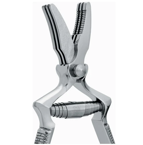 Forbice masticatore inox