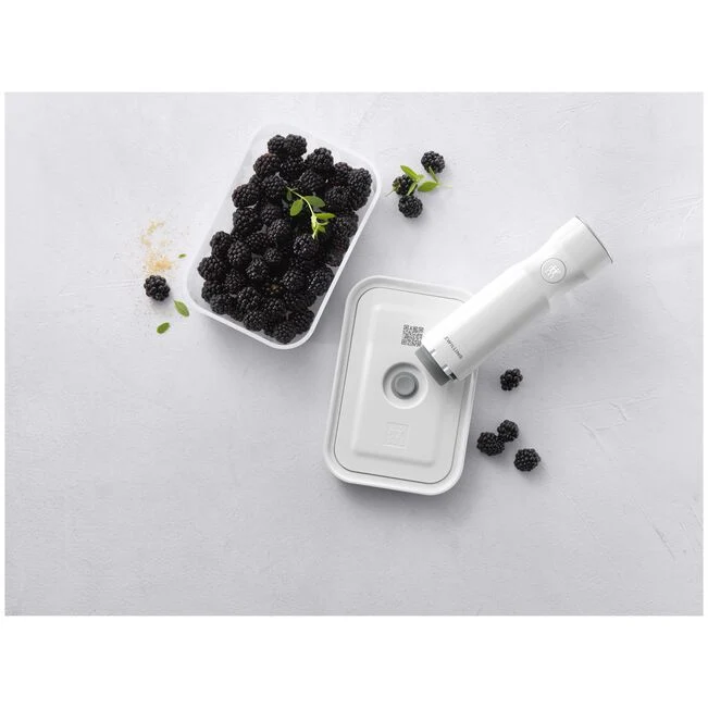Fresh & Save Contenitore sottovuoto M, plastica, semi trasparente-grigio