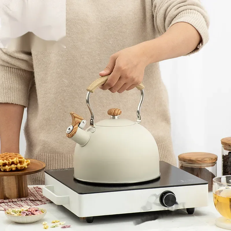 2.5L Electric Tourist Gas Stove Kettle With Whistle Stainless Steel Kitchen Home-appliance Camping Teapot Cookware Cooking Set