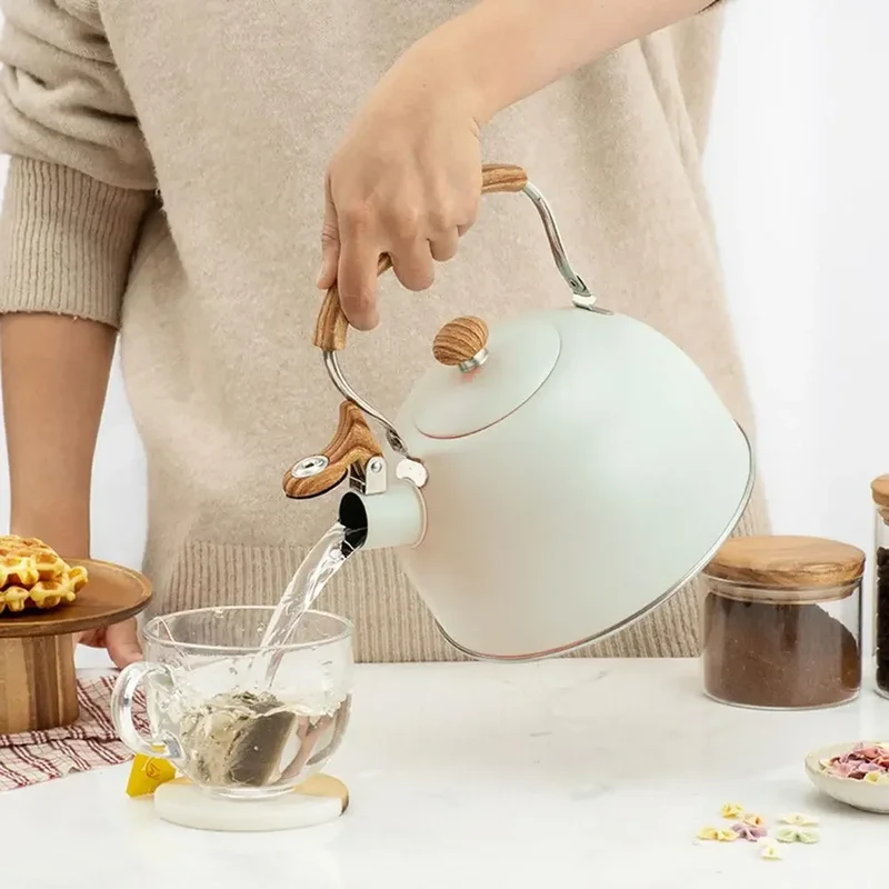 2.5L Electric Tourist Gas Stove Kettle With Whistle Stainless Steel Kitchen Home-appliance Camping Teapot Cookware Cooking Set