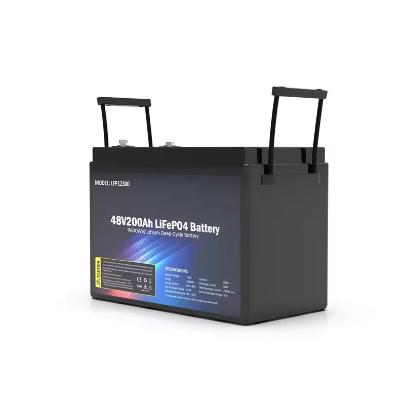 Pacco batteria SS-48V200AH LiFePO4 9600wh