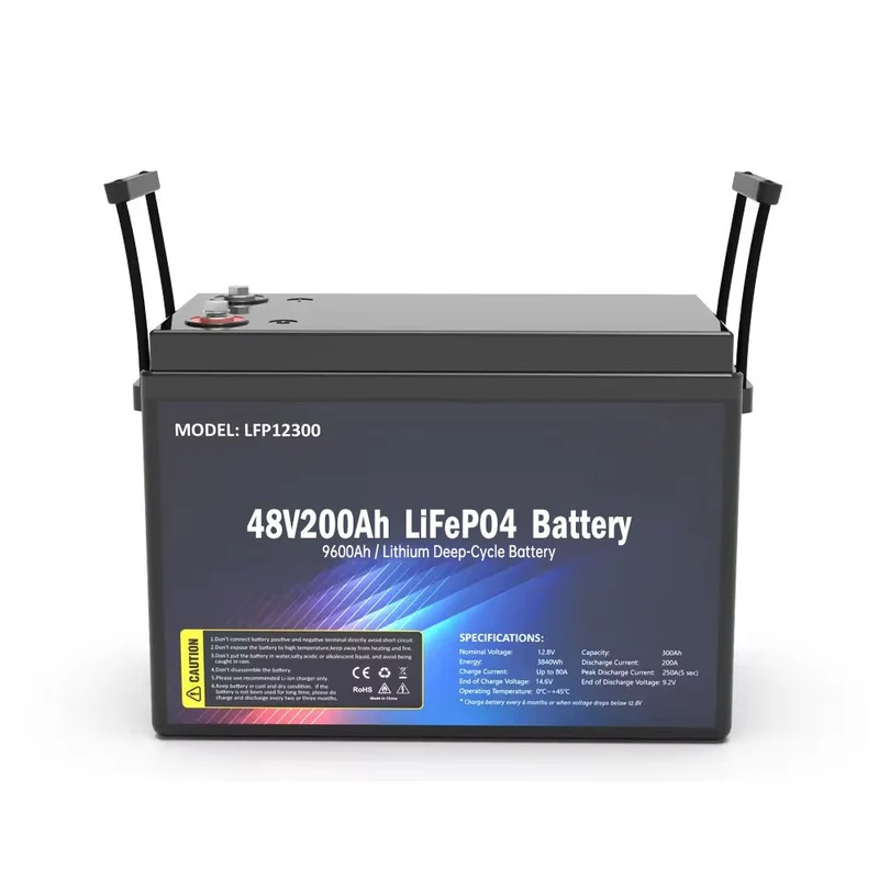 Pacco batteria SS-48V200AH LiFePO4 9600wh