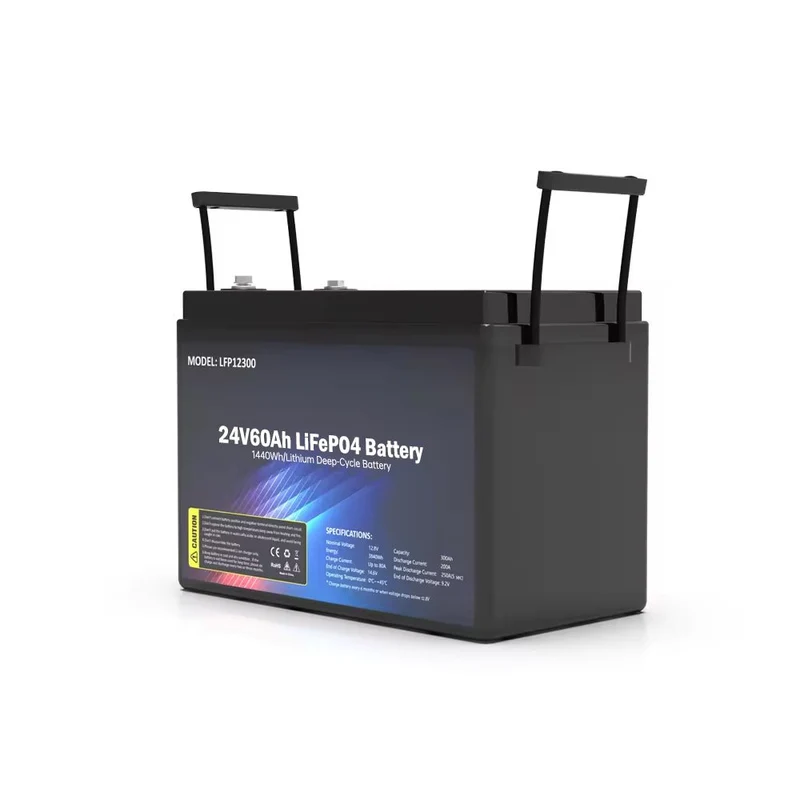 Batteria LiFePO24 SS-60V4AH 1440WH