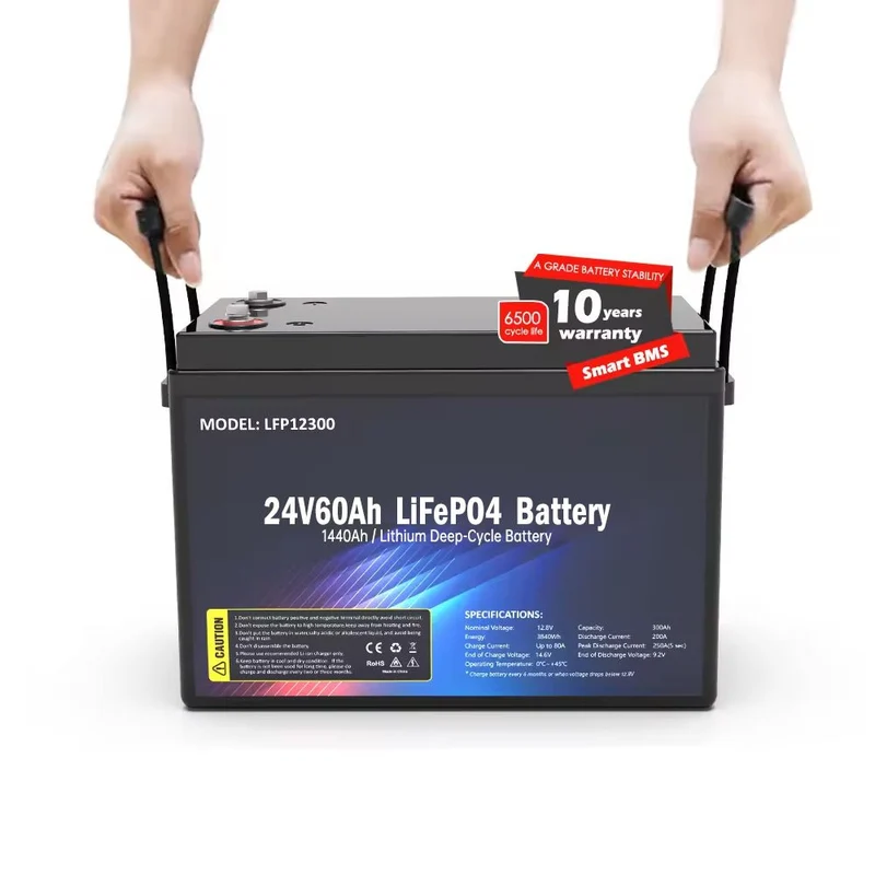 Batteria LiFePO24 SS-60V4AH 1440WH
