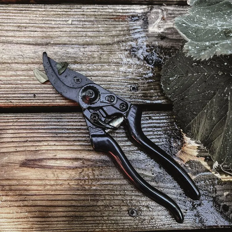 Pruning Set Deluxe