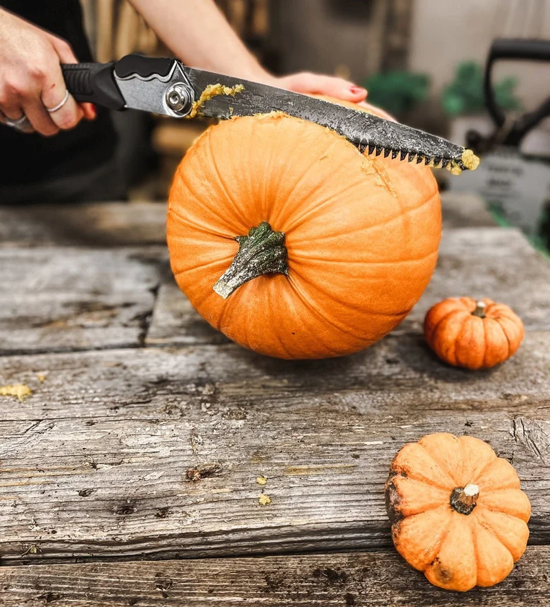 Pruning Set Deluxe