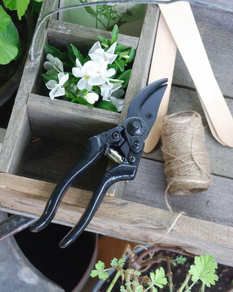 Pruning Set Deluxe