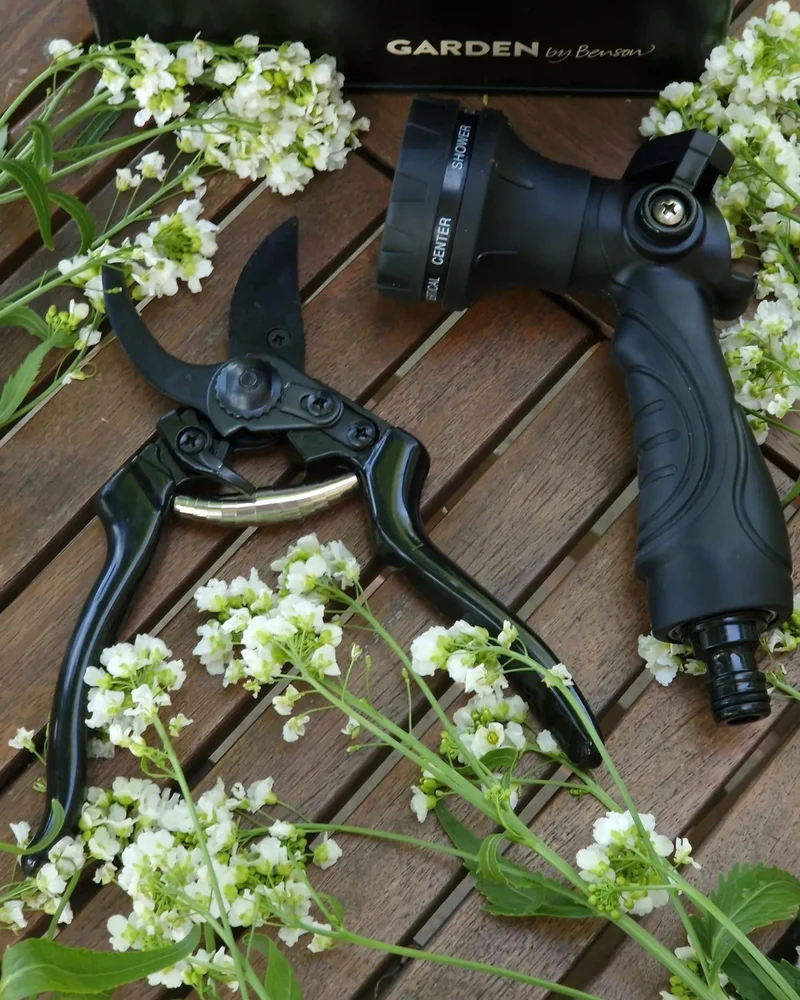 Pruning Set Deluxe